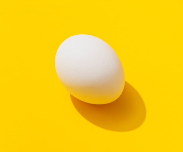 Picture of a egg